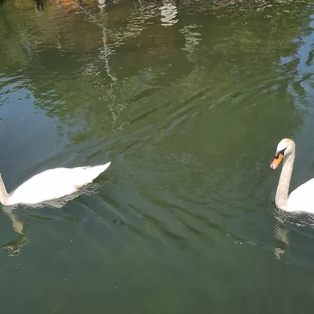 Au Fils De L'eau Strasbourg